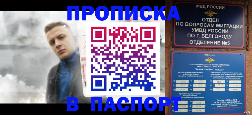 временная регистрация в Партизанске